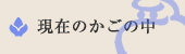現在のカゴの中